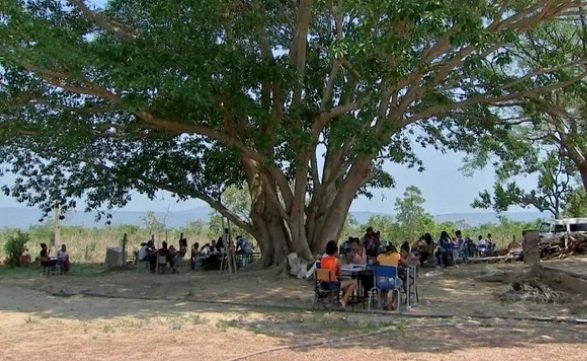 Alunos estudam embaixo de árvores por falta de estrutura em escola de MT