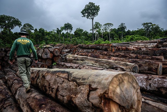 Ibama embarga 3,6 mil hectares e multa desmatadores em R$ 24 milhões no norte de MT