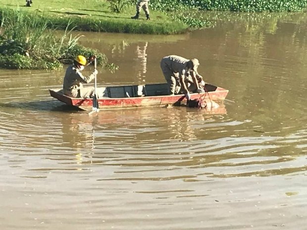 Corpo de homem é encontrado boiando em lago
