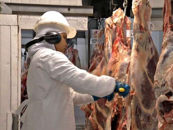 MT deve ser responsável por 25% da exportação de carne para os EUA