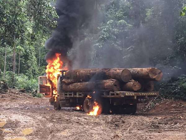 Ibama destrói equipamentos de madeireiros ilegais na Amazônia
