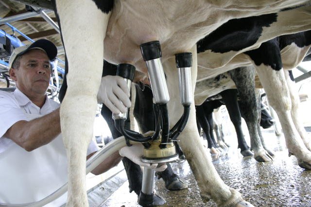 Preço pago pelo litro do leite tem valorização em MT; Noroeste está acima da média estadual