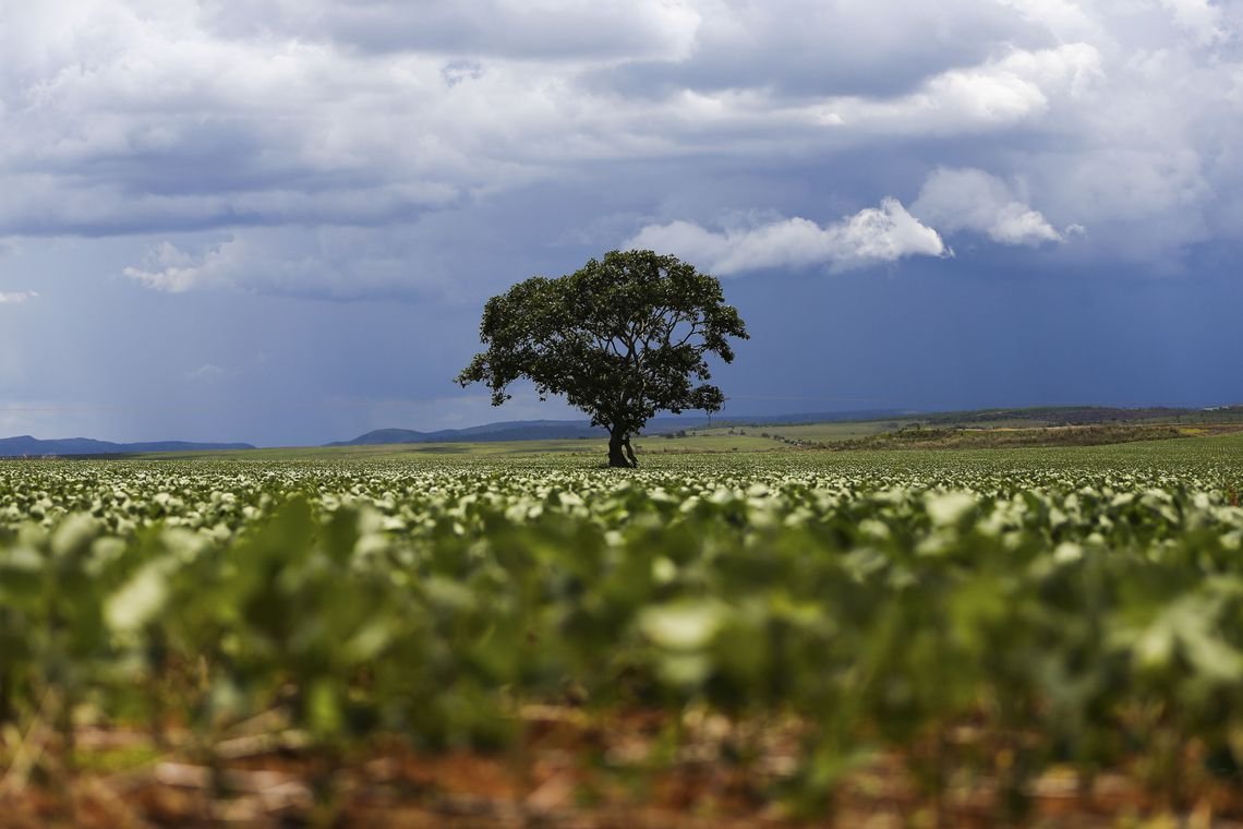 Tecnologia e ciência devem pautar agricultura, diz ex-ministro