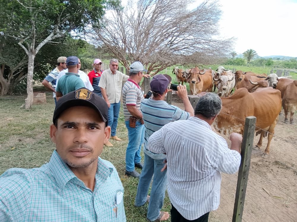 Vereador Miro da Agricultura participa do dia de campo do melhoramento genético da bacia leiteira 