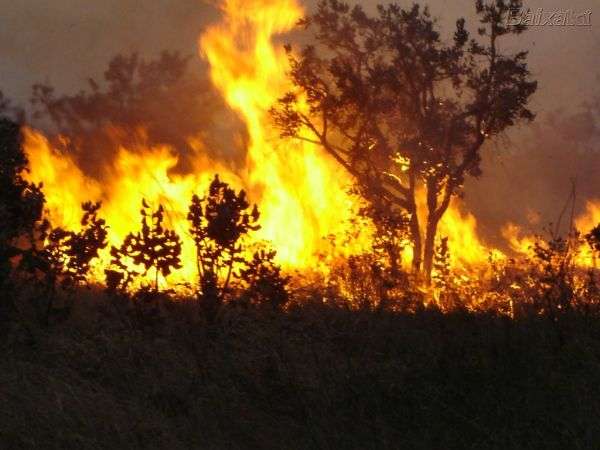 Período proibitivo de queimadas em Mato Grosso começa amanhã