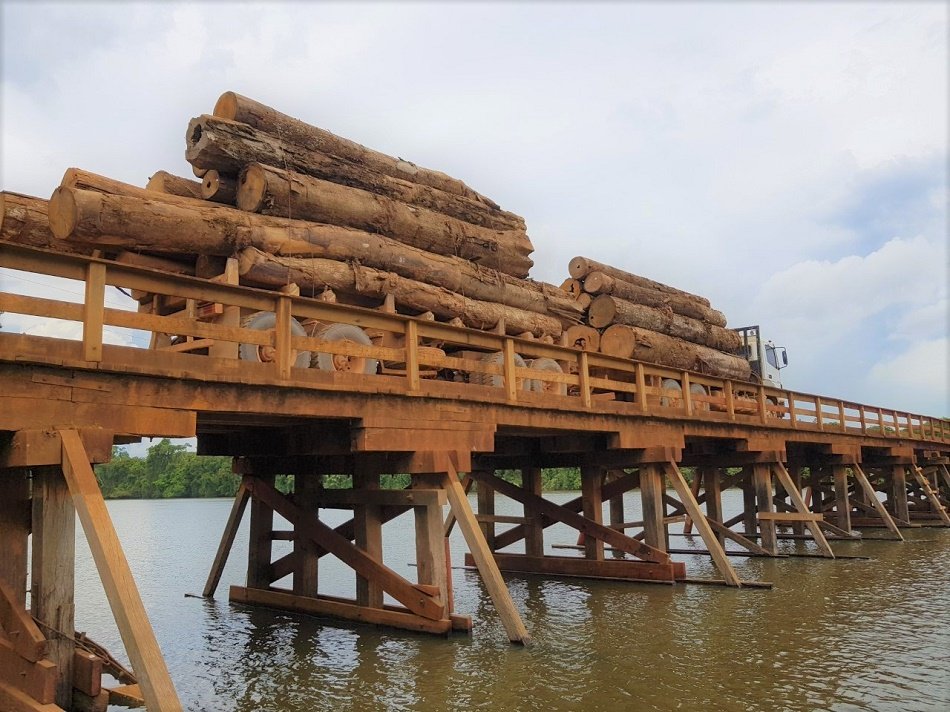 Sistema da Sefaz-MT falha novamente e impede venda de madeira de Mato Grosso