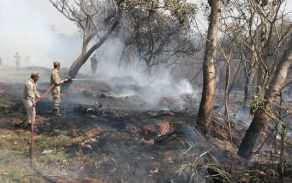 Sema prorroga até dia 30 de setembro o período proibitivo de queimadas em Mato Grosso
