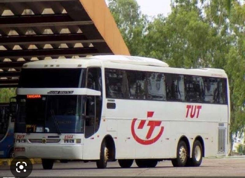 Bens da empresa TUT transportes vão a leilão para pagamento de credores