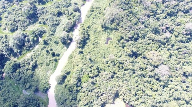 Polícia Federal prende 6 em operação contra garimpo e desmatamento em área indígena de MT