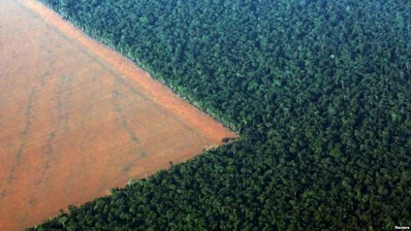 Amazônia poderá abastecer 4ª Revolução Industrial, diz estudo