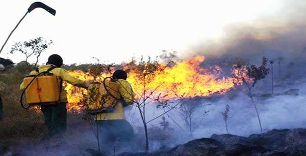 Termina período proibitivo para queimadas em Mato Grosso