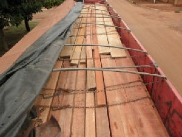 Exportação de madeira em Mato Grosso apresenta nova redução