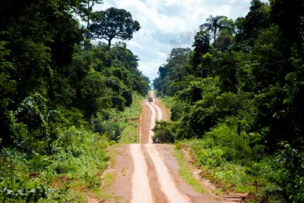 Amazônia ameaçada: guardiões lutam para manter a floresta em pé