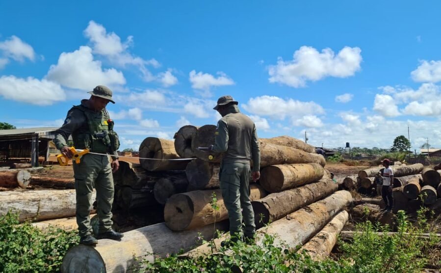 Colniza: Sema embarga três empresas por estoque de madeira ilegal e aplica R$ 818 mil em multas