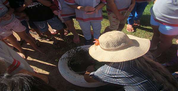 Cotriguaçu/MT - Viveiro escolar: oficina une conhecimento da agricultura familiar à facilidade de aprendizado na infância