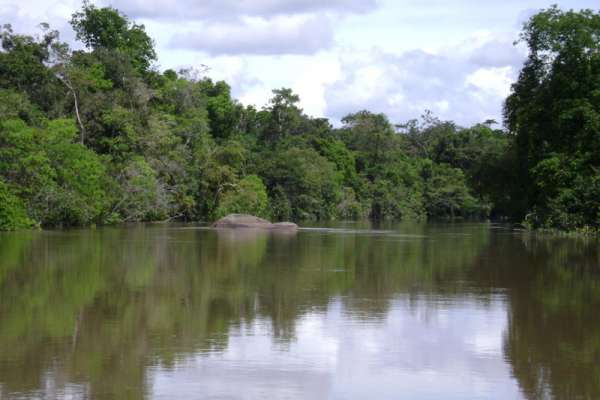 Governo cria cinco UCs na Amazônia