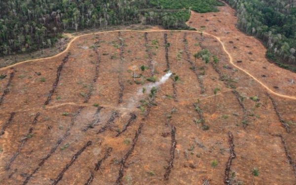 Mato Grosso desmatou em maio 56% da Amazônia, diz boletim do Imazon