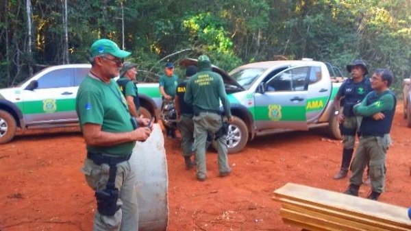 Ibama bloqueia serrarias no sudoeste do Pará após caminhonetes queimadas