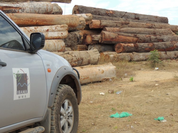 PF deflagra operação para combater extração ilegal de madeira em Mato Grosso