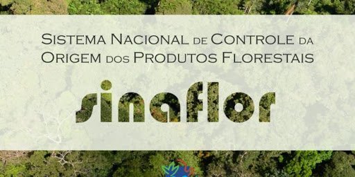 Colniza-MT: Bloqueio do Sinaflor/DOF em Municípios da Amazônia é implementado pelo Ibama em atendimento a Decisão Judicial