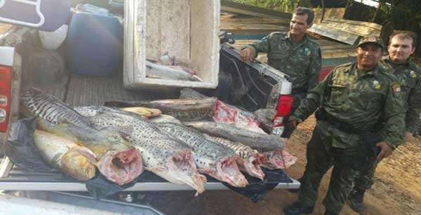 Polícia Militar Ambiental apreende mais de 200 quilos de pescado no Pantanal