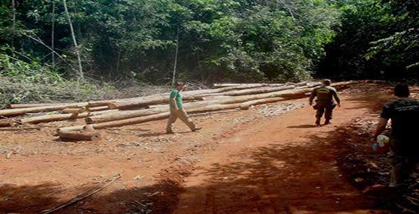 Equipe de Fiscalização apreende 900 m³ de madeira irregular