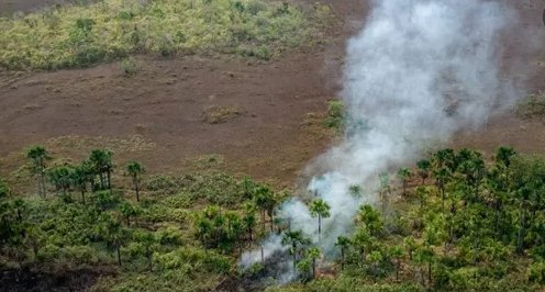 Colniza/MT: Operação é feita em fazendas em MT, após denúncia de que moradores planejavam 'dia do fogo'