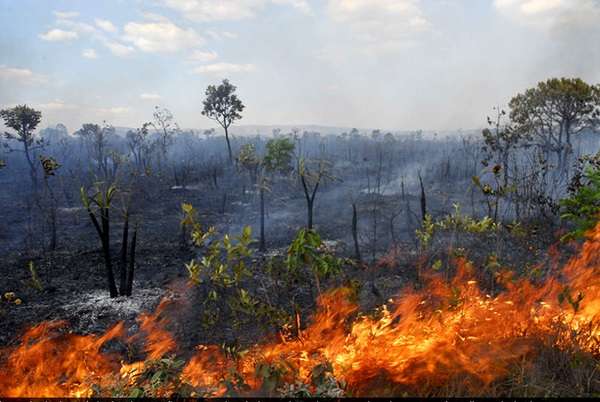 Incêndio atinge terras indígenas do Xingu e Arariboia