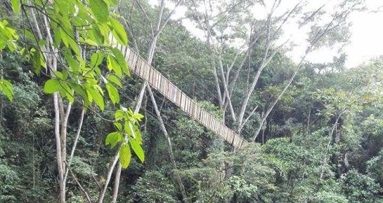 Ponte para pedestres vira e deixa 7 mortos na Colômbia 