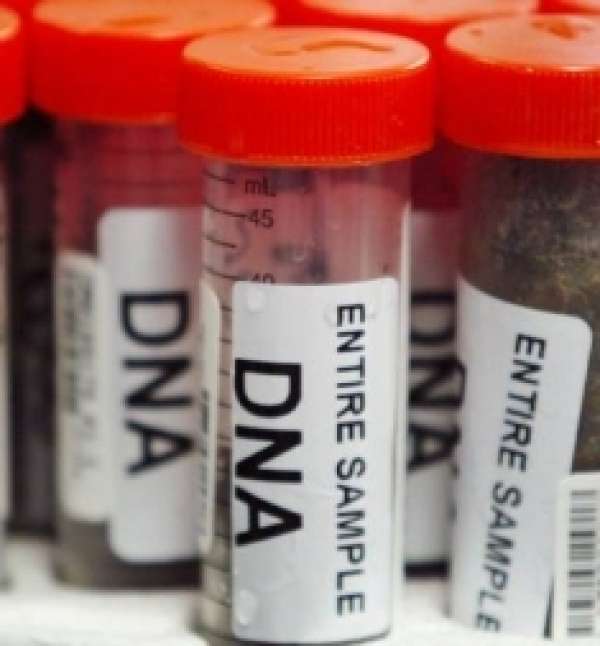 Laboratório em Cuiabá pagará R$ 5 mil por errar exame de DNA