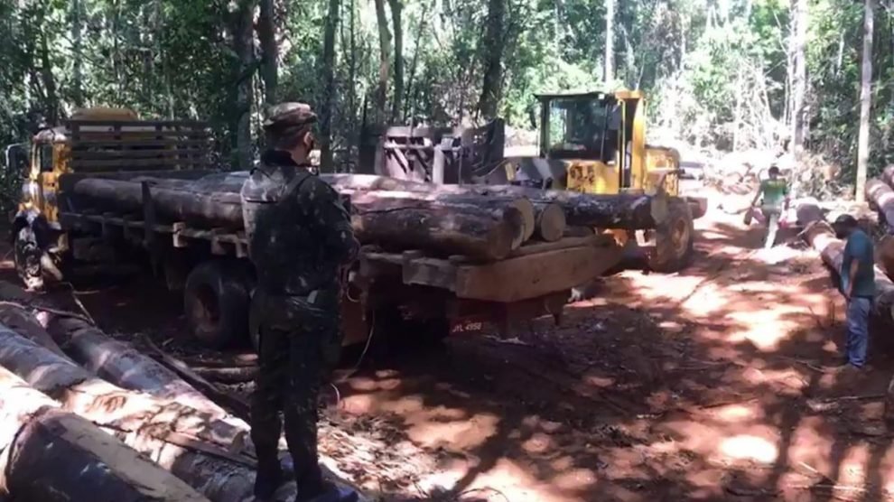Governo prorroga uso das Forças Armadas no combate ao desmatamento ilegal em Mato Grosso