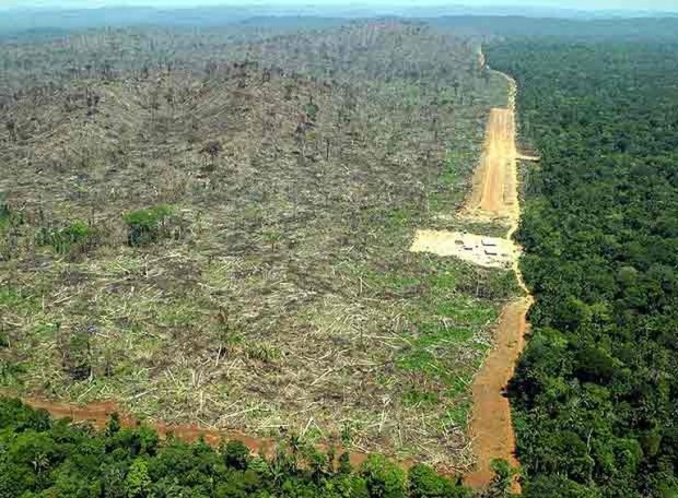 Justiça bloqueia R$ 23 mi de desmatador da Floresta Amazônica em MT; AGU cobra R$ 462 mi