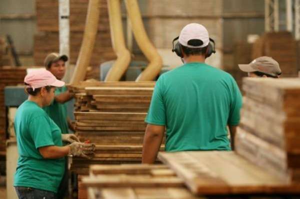 Indústria da madeira e mobiliário contratam 10% a menos em Mato Grosso