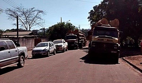 Ibama flagram desmate ilegal e apreendem tratores e caminhões e 500 m3 de madeira