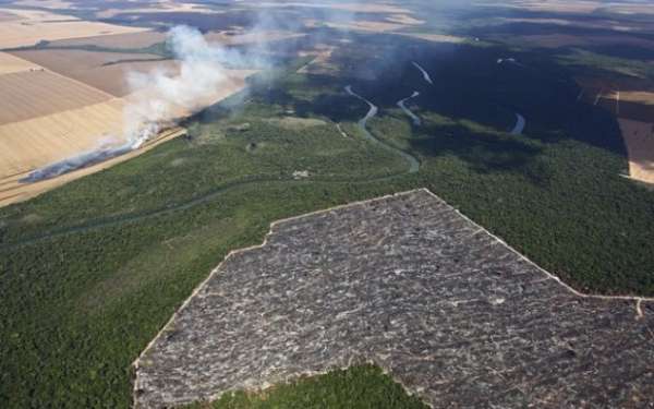 Sema identifica 10 mil hectares com desmatamento ilegal entre abril e maio