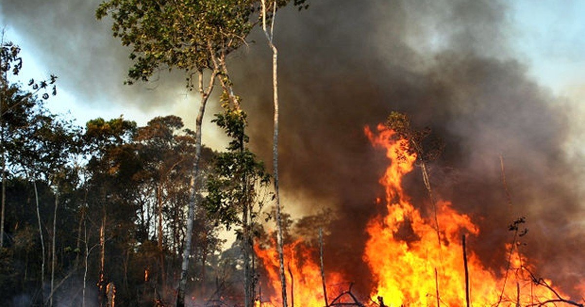 Brigadistas indígenas combatem fogo supostamente criminoso no Parque Nacional do Xingu em MT