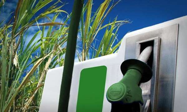 Preço do etanol cai em 15 Estados e no DF e sobe em outros 9 na semana, diz ANP