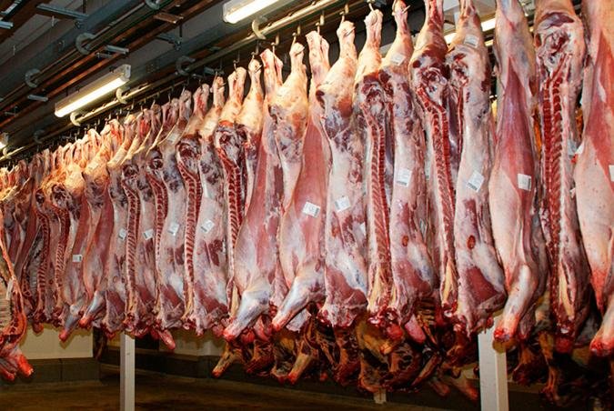 Mato grosso atinge novo recorde na exportação de carne bovina