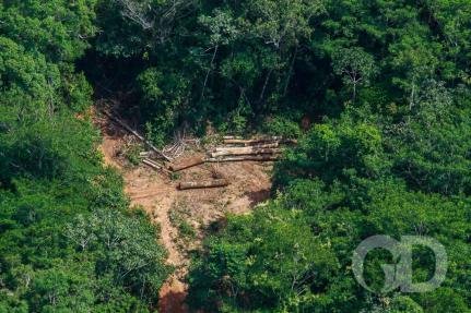 78% da degradação na Amazônia Legal ocorre em MT