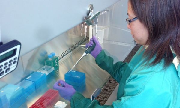 Vacina de teste contra ebola só será comercializada em 2016