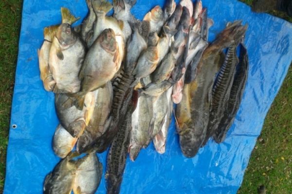 Fiscais apreendem 105,25 quilos de pescado irregular