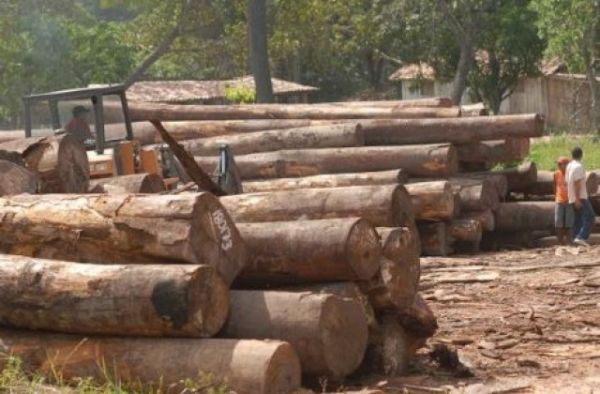 Ibama intensifica combate aos crimes ambientais em terras indígenas de Aripuanã, Brasnorte e Juara