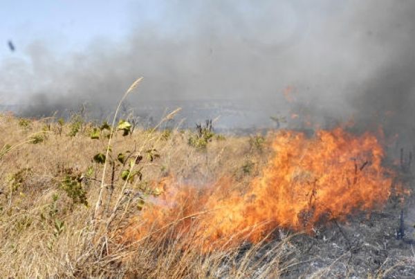 Pesquisa apresenta Mato Grosso como líder no ranking de queimadas no país