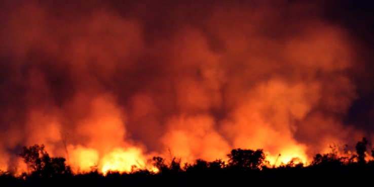 Com proibição de queimadas, Coniza está na lista das áreas mais monitoradas