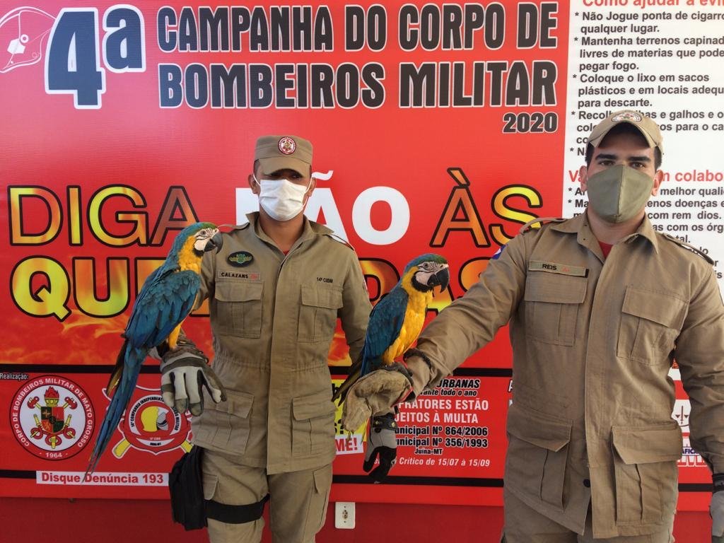 Aves são abandonadas após homem ser impedido de entrar em ônibus em Castanheira