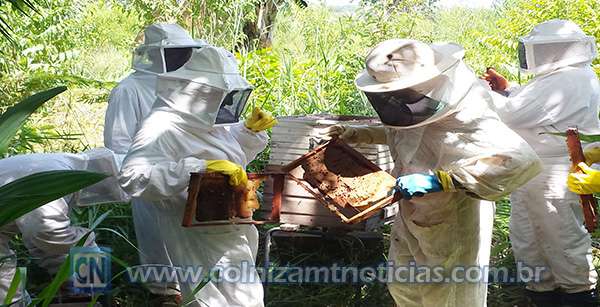 Sindicato Rural finaliza curso de apicultura no município de Colniza-MT