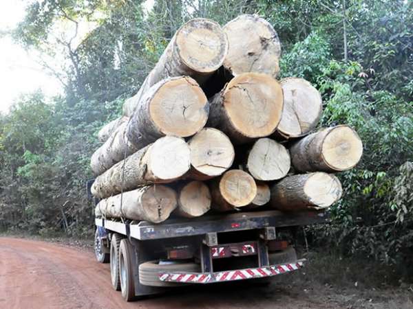 Policia Civil apreende maquinas e veículos usados no desmatamento e transporte ilegal de madeira em Colniza