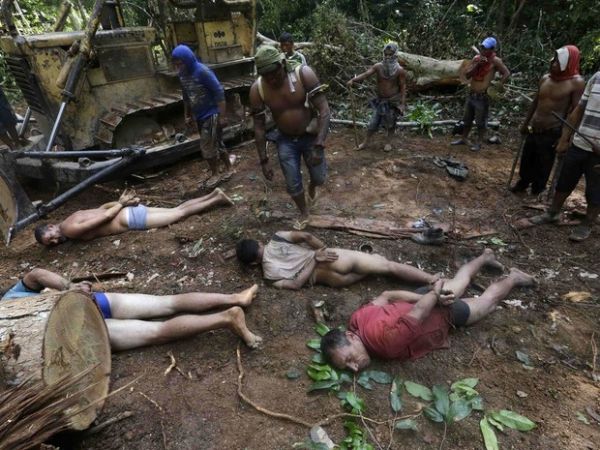 PF vai apurar ataque de índios a madeireiros no Maranhão, diz ministro