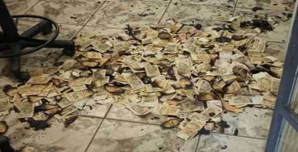Cercados pela polícia, bandidos queimam dinheiro roubado