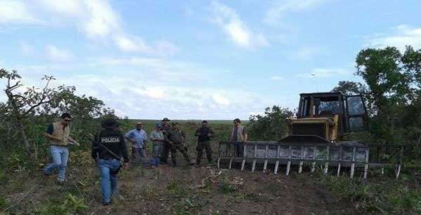 Fiscais descobrem desmatamento de 4 mil hectares próximo a duas aldeias em MT
